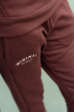 Dark Brown Hoodie with Sweatpants